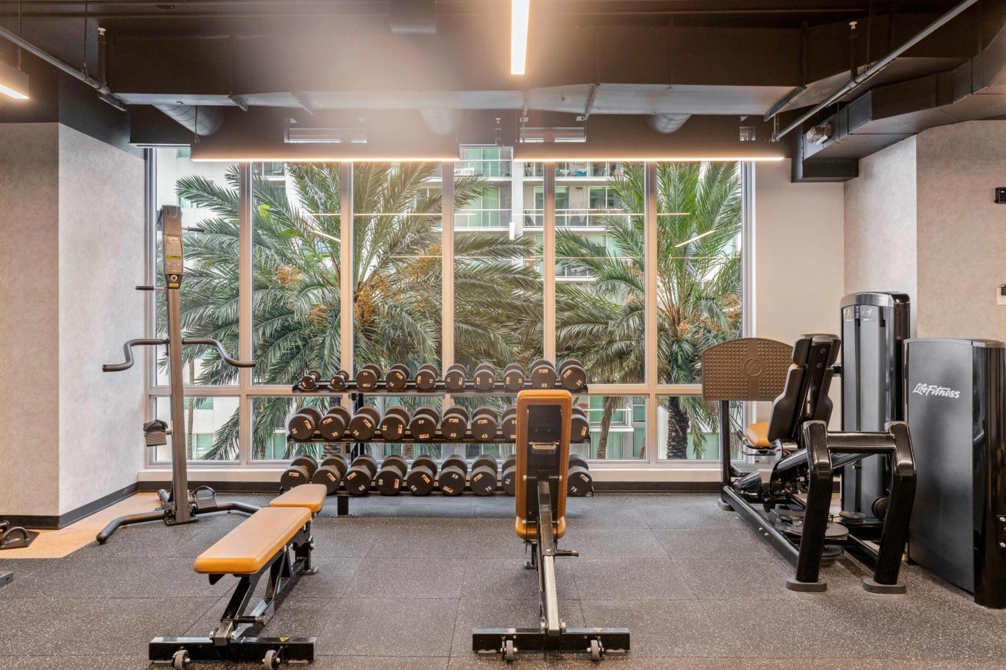 - Casiola Studio'S - Near Cruise Terminal, Bayfront Park And Kaseya Center Miami Exterior photo